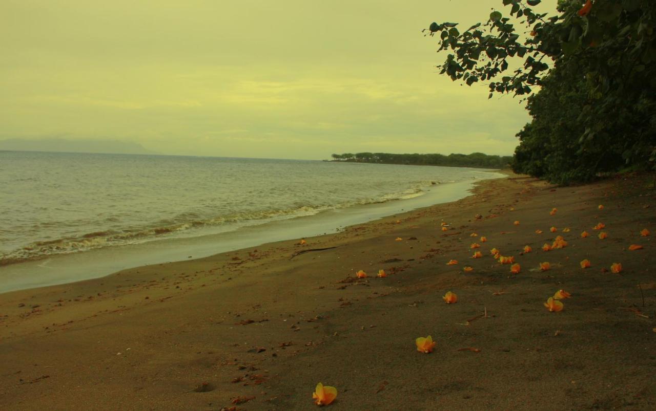 Fx72 Beach Resort Maumere Kültér fotó
